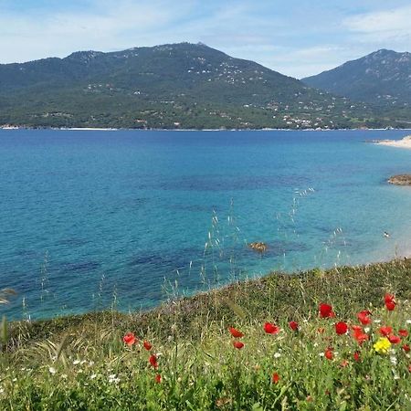 Studio T1 Bis Vue Mer Propriano Propriano  Luaran gambar